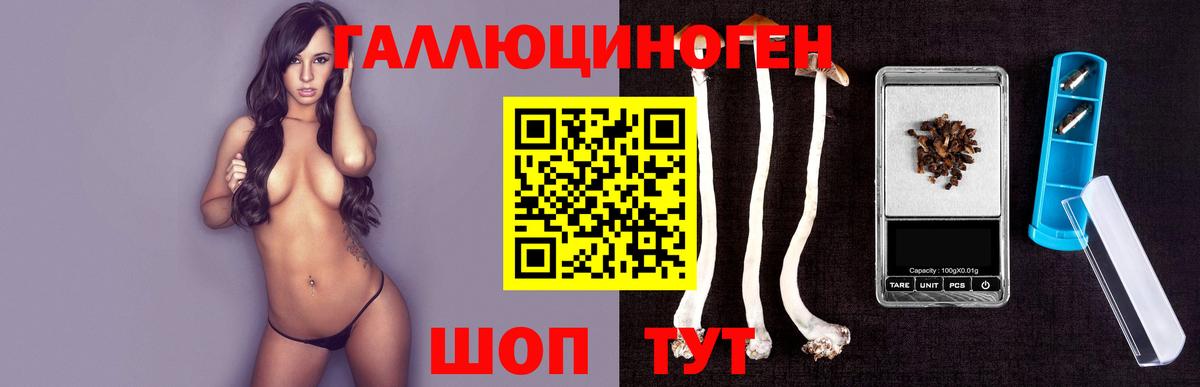 Галлюциногенные грибы Psilocybine cubensis  Вход с VPN  Кулебаки 